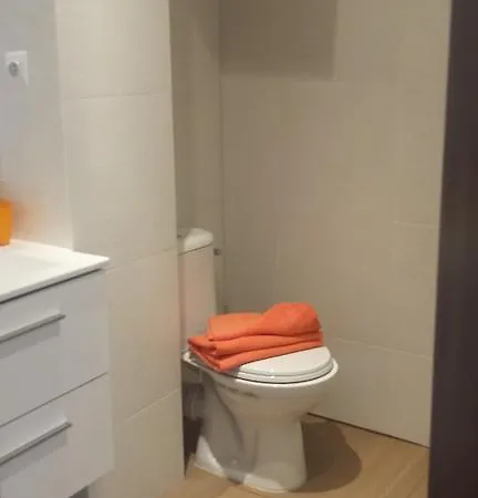 Wiola Centrum Apartmán Katovice