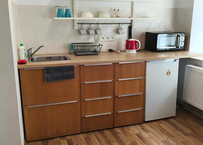 Wiola Centrum דירה