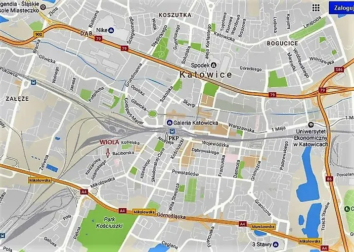 Wiola Centrum דירה