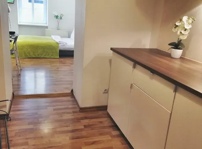 Wiola Centrum דירה